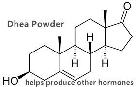 dhea powder.png